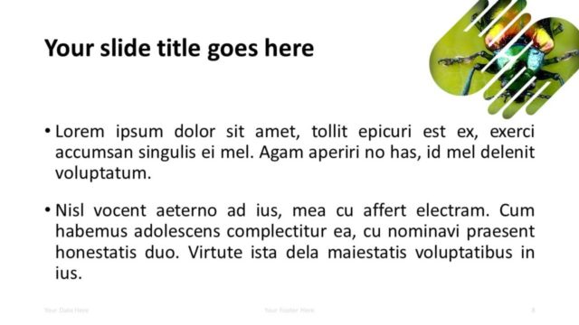 Free PowerPoint Template with 2 Hands - 1 Shape - Title and Content Slide