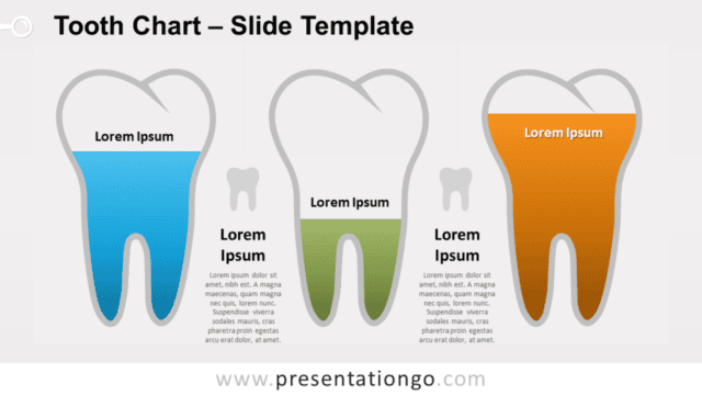 Tooth Chart for PowerPoint and Google Slides Free Tooth Chart for PowerPoint and Google Slides