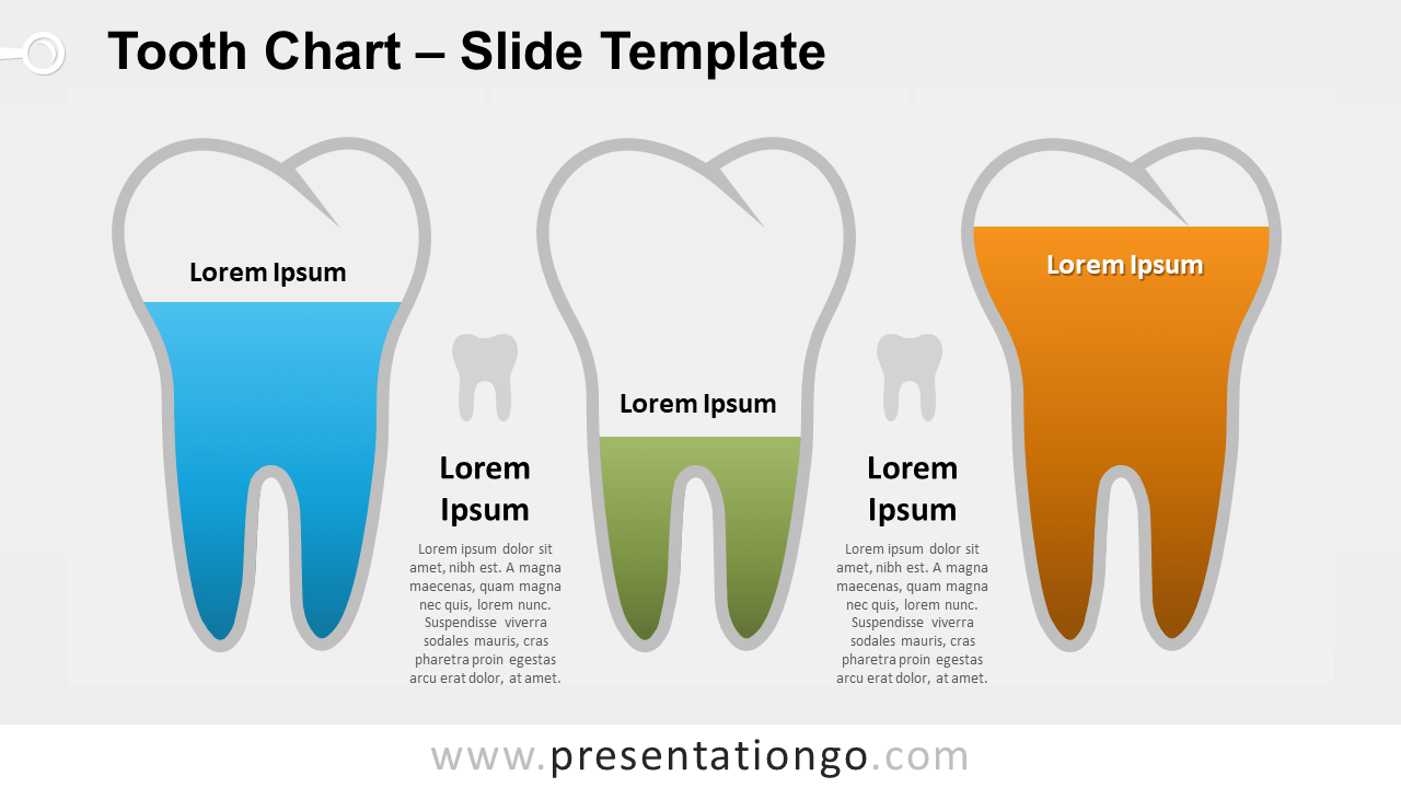 Free Tooth Chart for PowerPoint and Google Slides