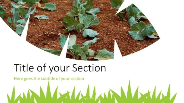 Free ECOLOGY Template for Google Slides – Section Slide (Variant 1)