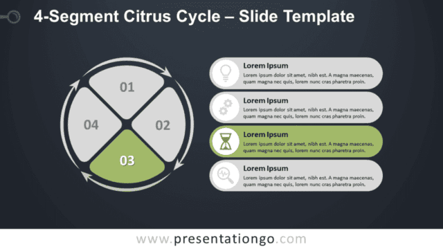 Free 4-Segment Citrus Cycle 3rd Step for PowerPoint and Google Slides