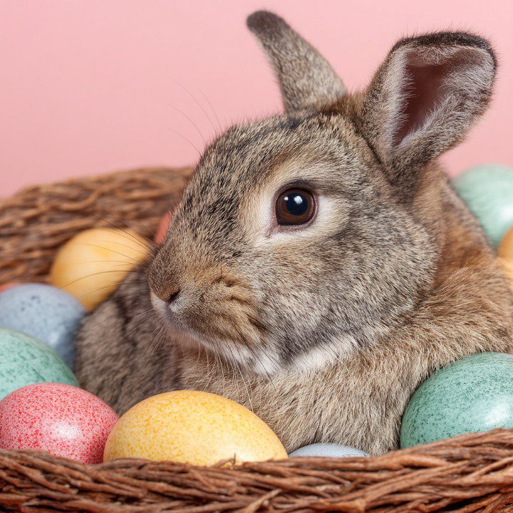 A fluffy brown rabbit rests in a wicker basket surrounded by colorful speckled Easter eggs with a pink background in a studio setting.