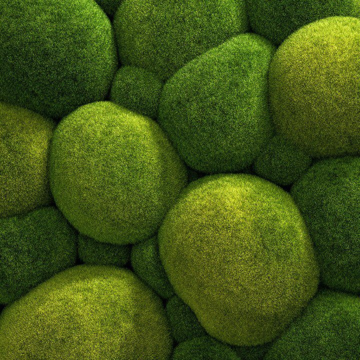 Seamless top-down view of soft, rounded moss clusters in various green shades, perfect for eco backgrounds or texture overlays.