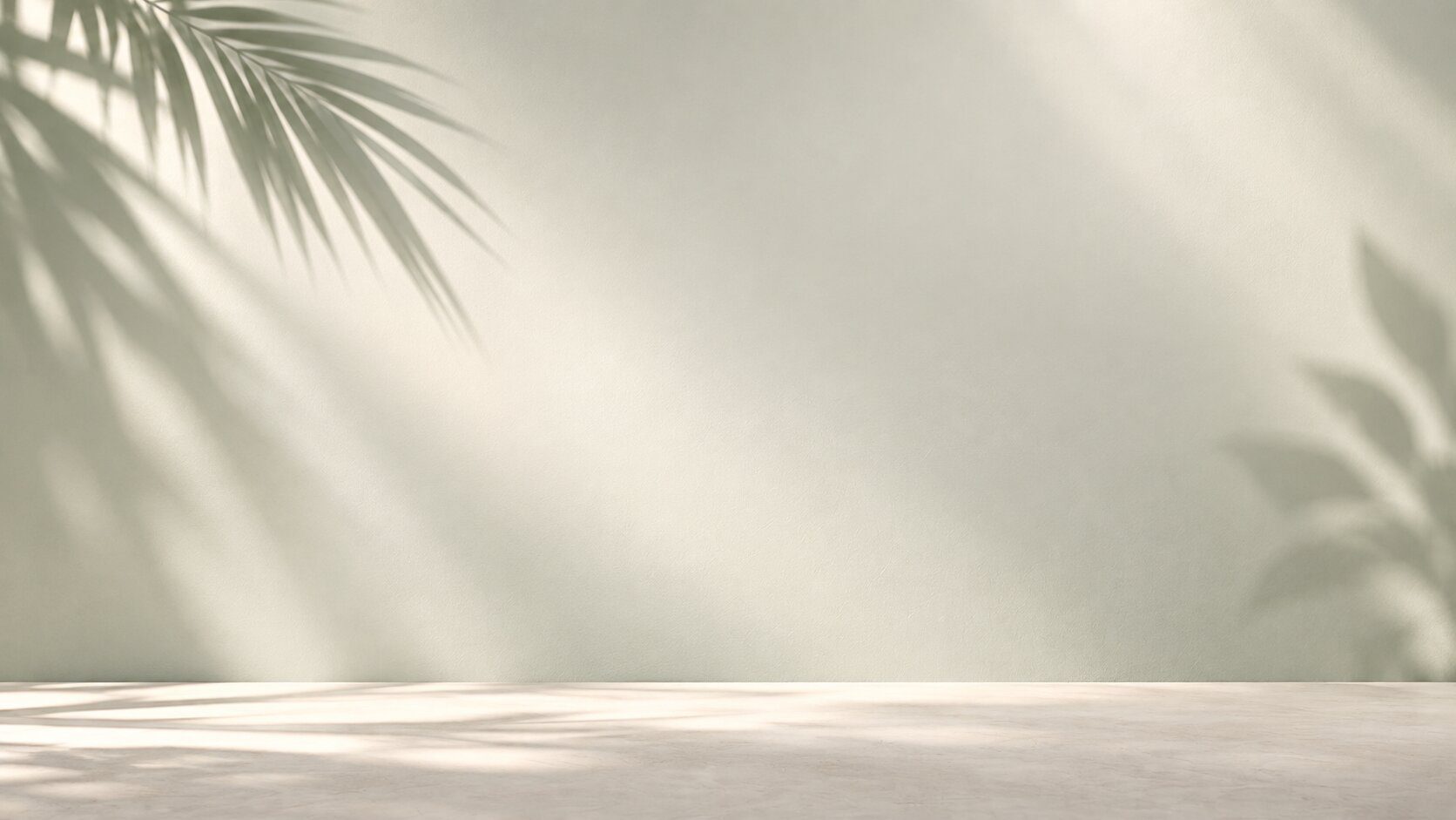 Soft palm leaf shadows frame a clean cream wall and surface, leaving generous open space for slide content.